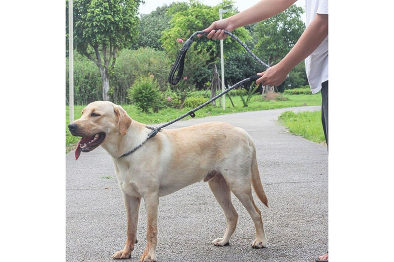 Reflective Leash With Comfortable Diving Cloth And Foam Double Handle