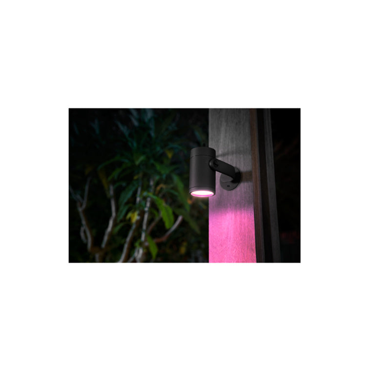 Philips HUE HUE629801 Outdoor Ambiance Lily LED Light Extension Spike Black 8W