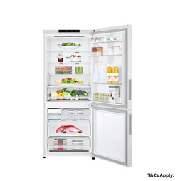 LG 306L Bottom Mount Fridge with Door Cooling