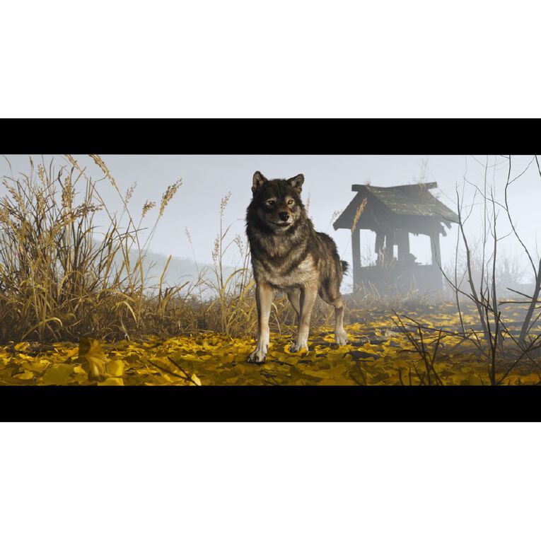 PS5 Ghost of Yotei