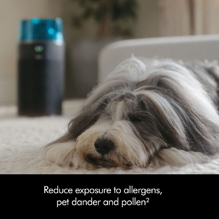 Dyson HushJet Purifier Compact