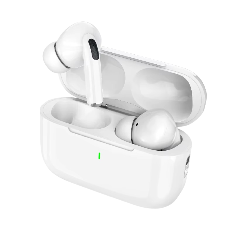 Wireless Earbuds + Large Party Speaker